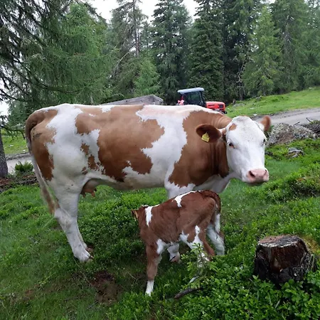 Farm stay Straganzhof