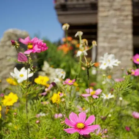 Farm stay Straganzhof Iselsberg