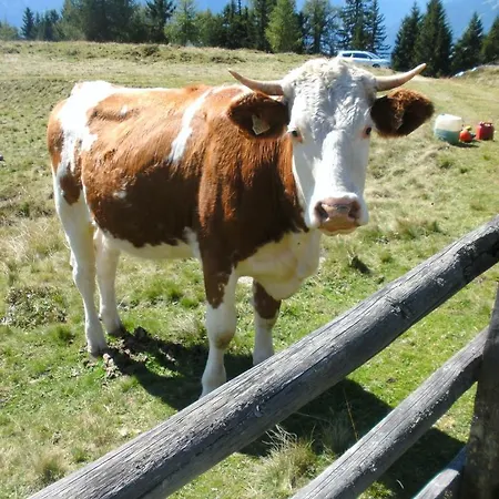 Straganzhof *