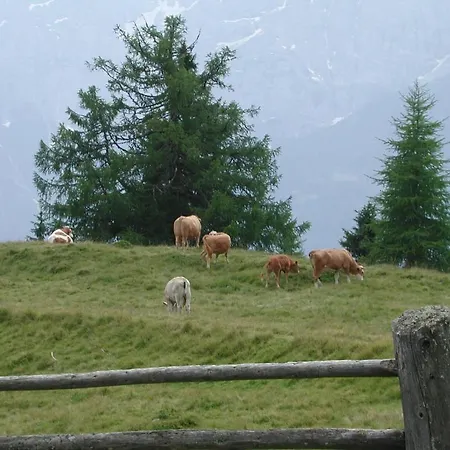 Agroturismo Straganzhof