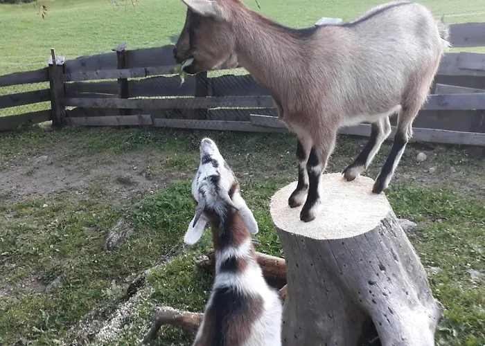 Straganzhof Iselsberg