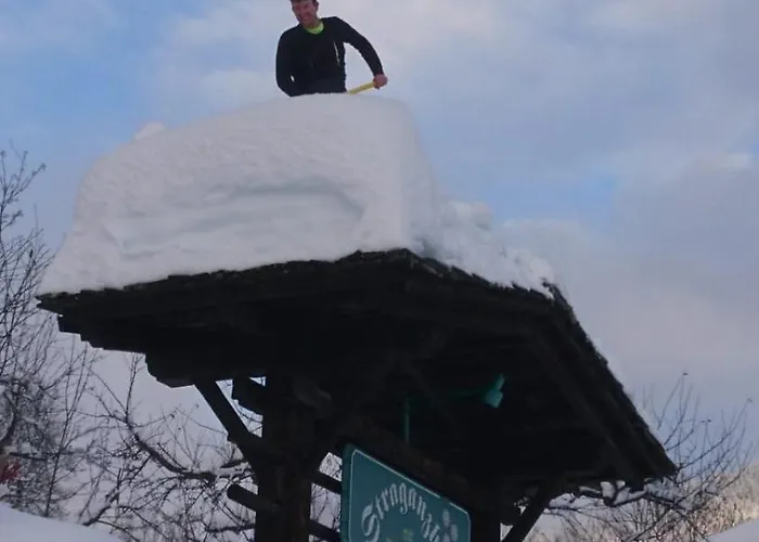 Straganzhof * Iselsberg