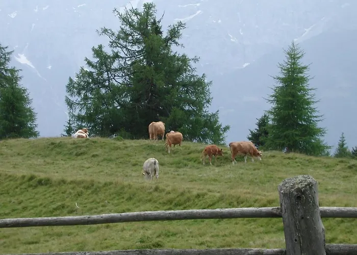Alloggio per agriturismo Straganzhof