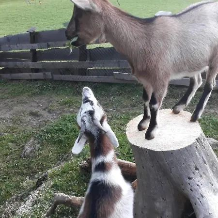 Straganzhof Изельсберг