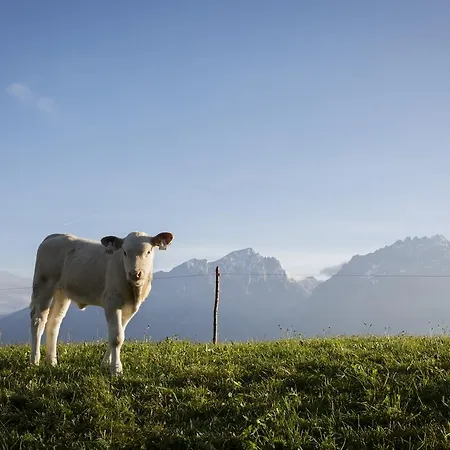 Фермерский дом Straganzhof *