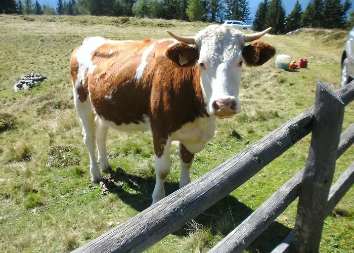Straganzhof *